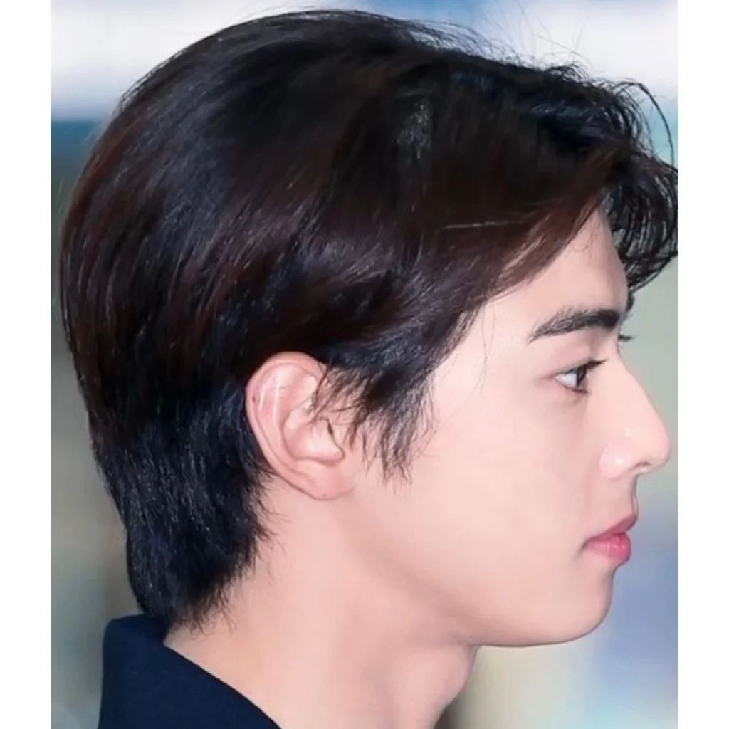 Cha Eun-woo (ASTRO) side