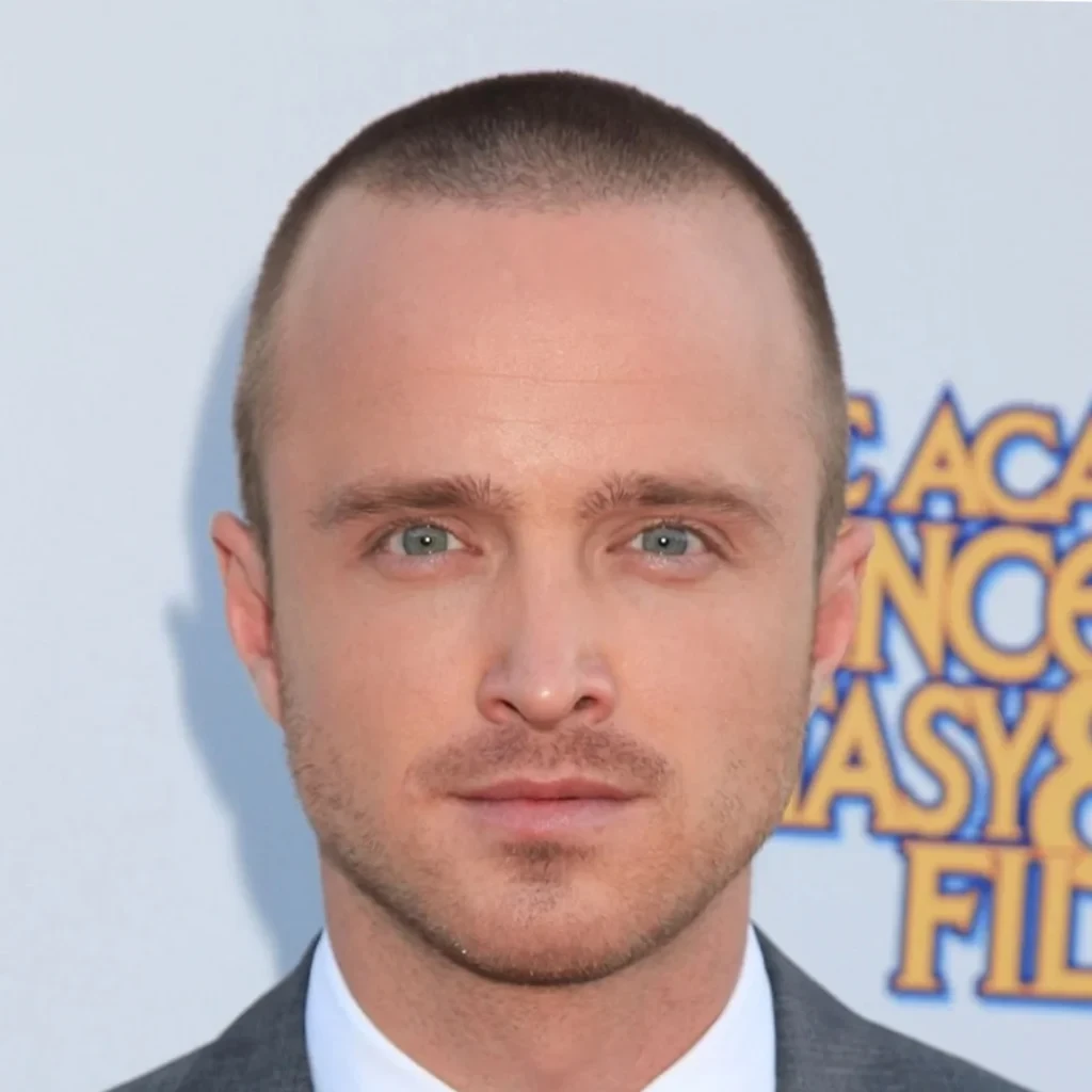Aaron Paul