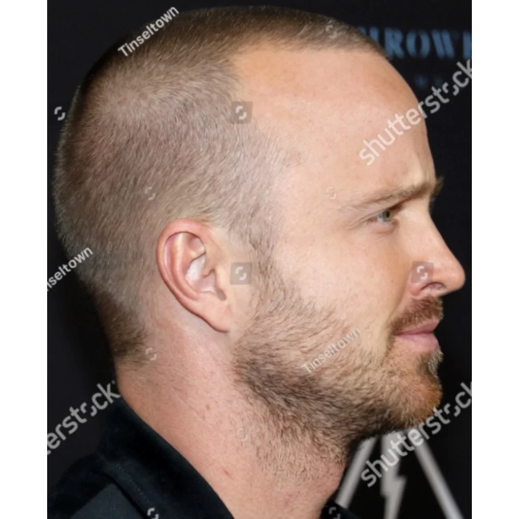 Aaron Paul