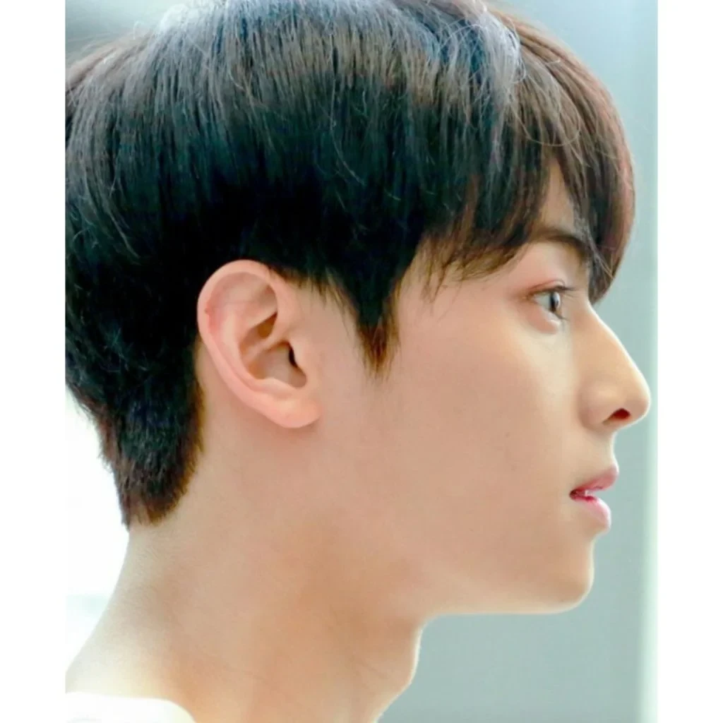 Cha-Eun Woo side