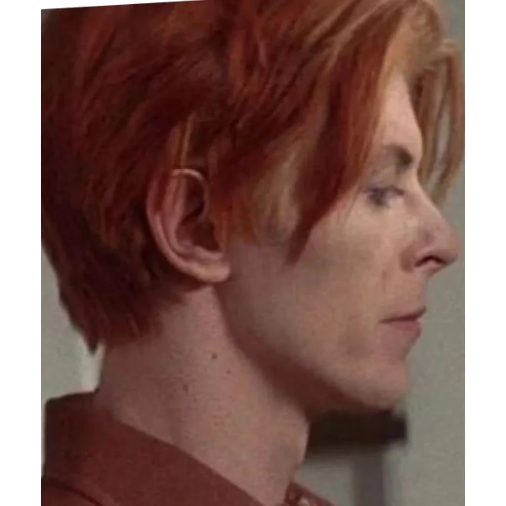 David Bowie
