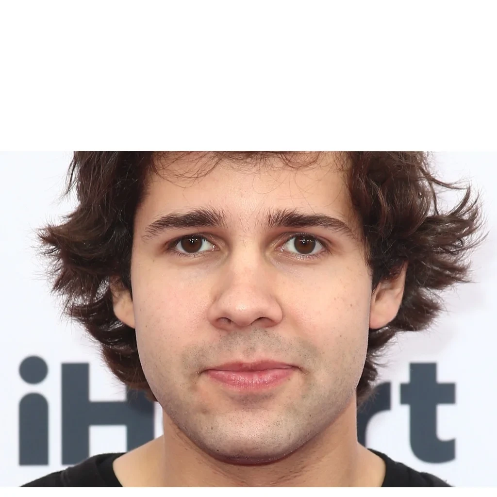 David Dobrik