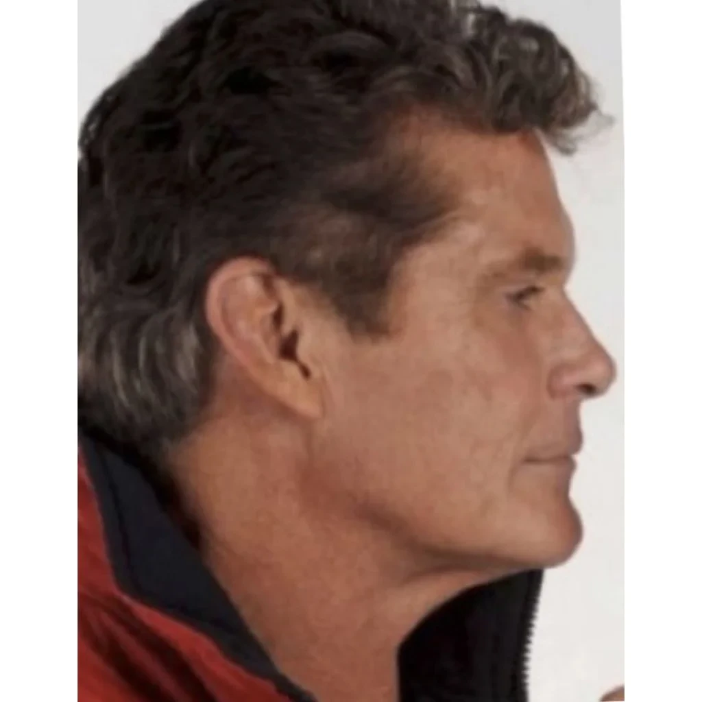David Hasselhoff