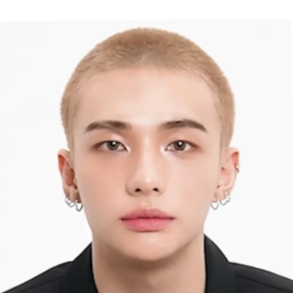 Hyunjin (Stray Kids)