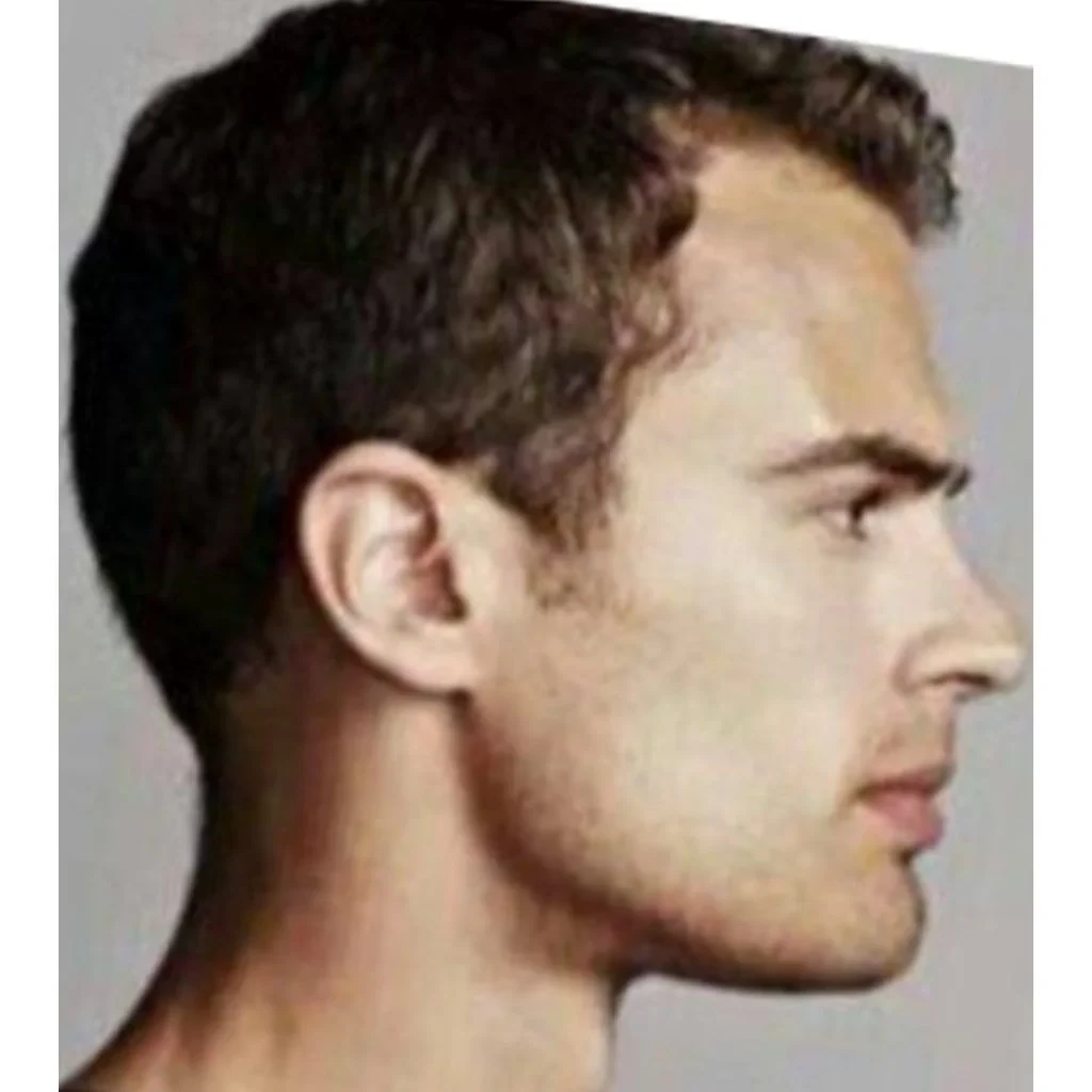Theo James