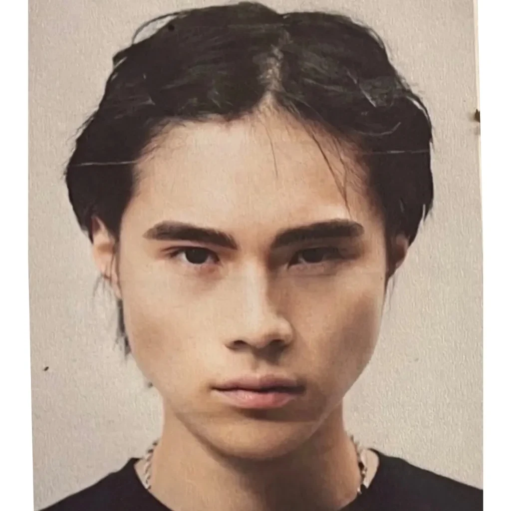 Timmy Pham (Looksmaxxer)