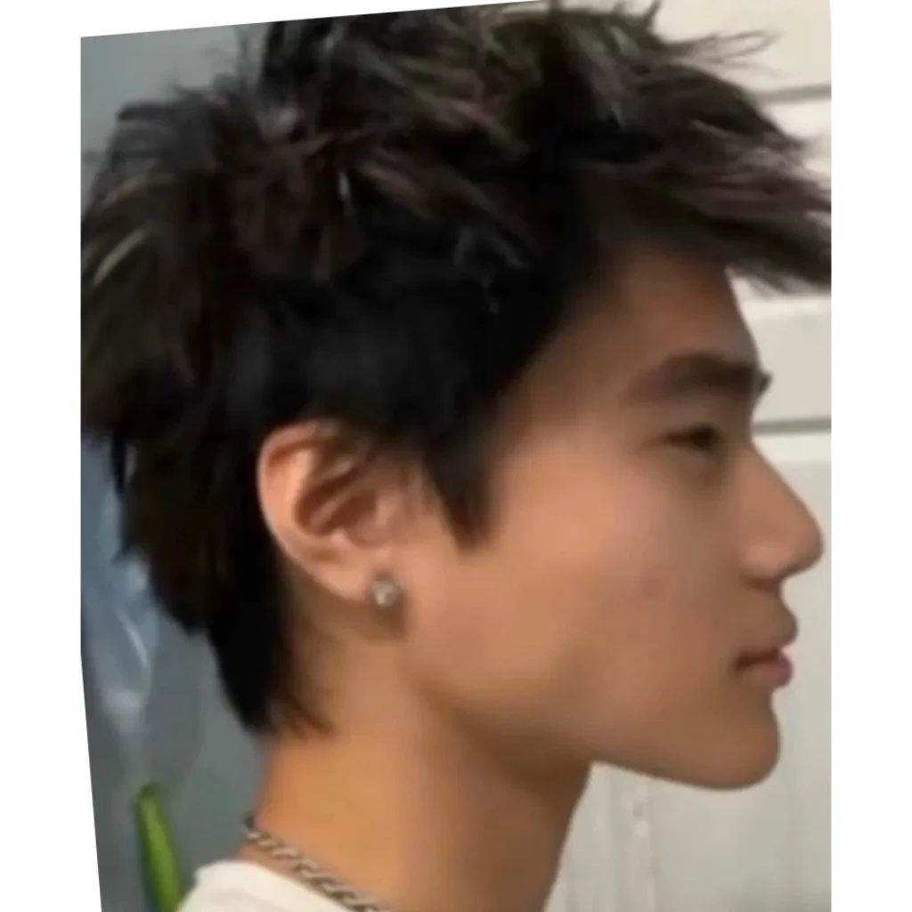 Timmy Pham (Looksmaxxer)