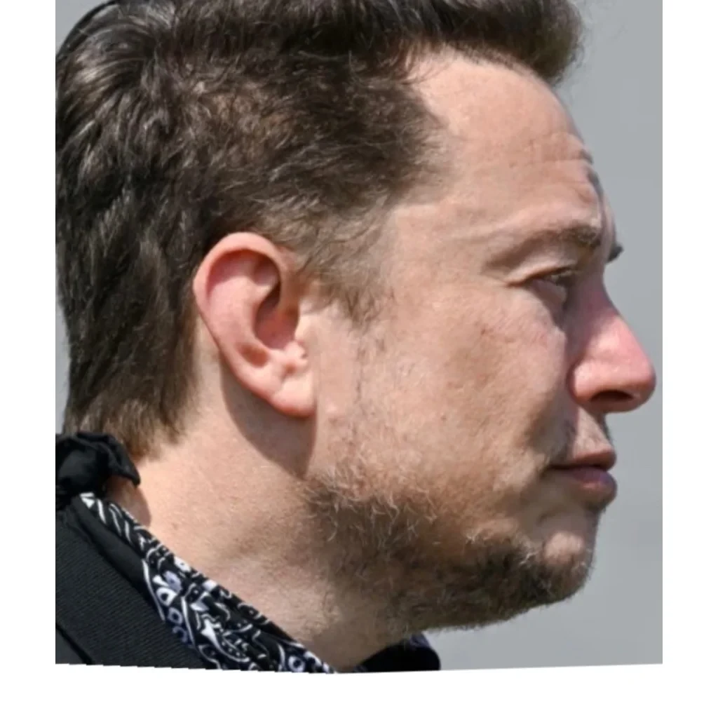 Elon Musk side