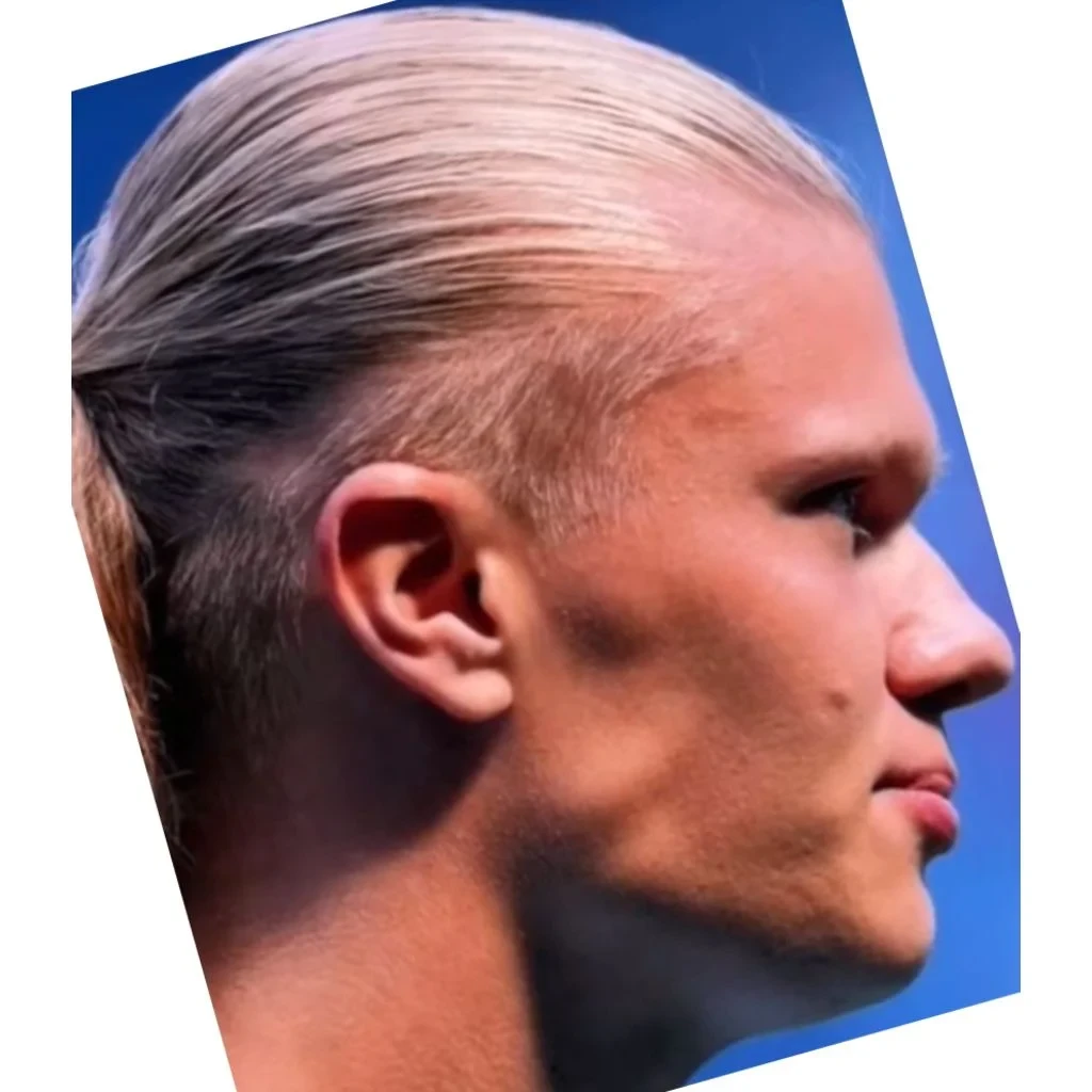 Erling Haaland side