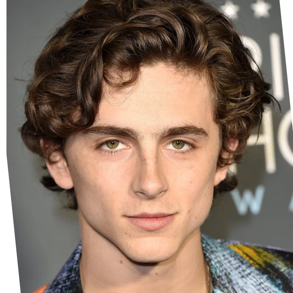 Timothée Chalamet