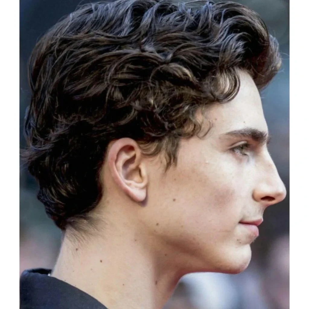 Timothée Chalamet